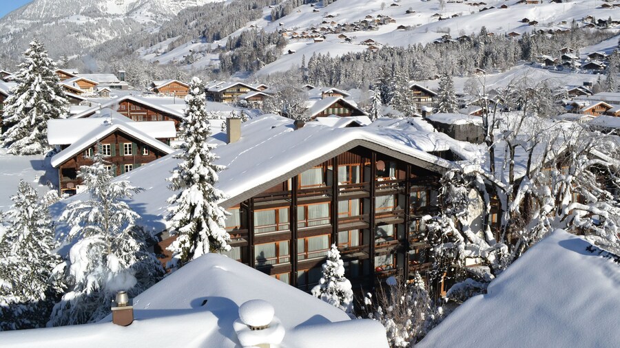 Hotel Kreuz Lenk