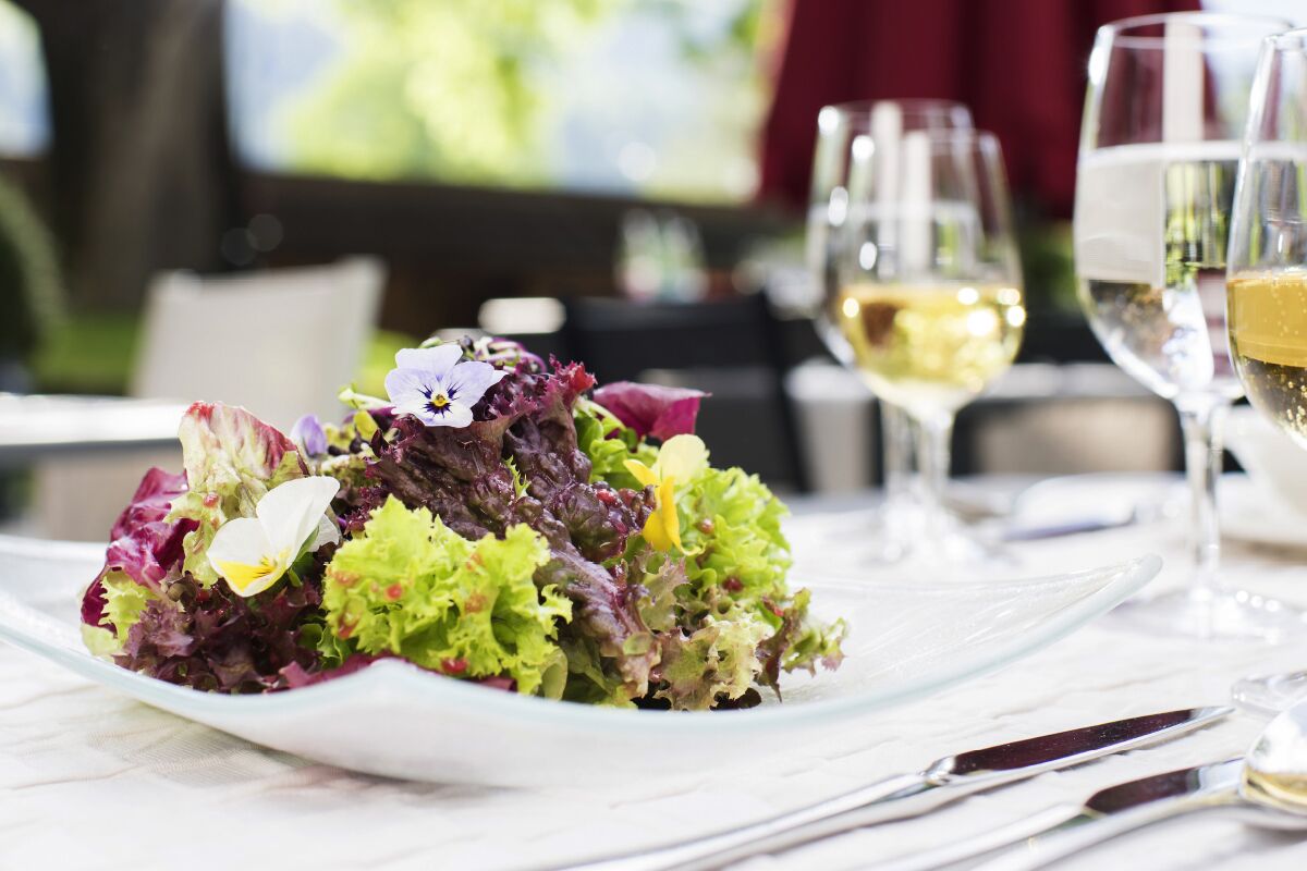 A table set with a plate of mixed greens salad, wine glasses, and cutlery.