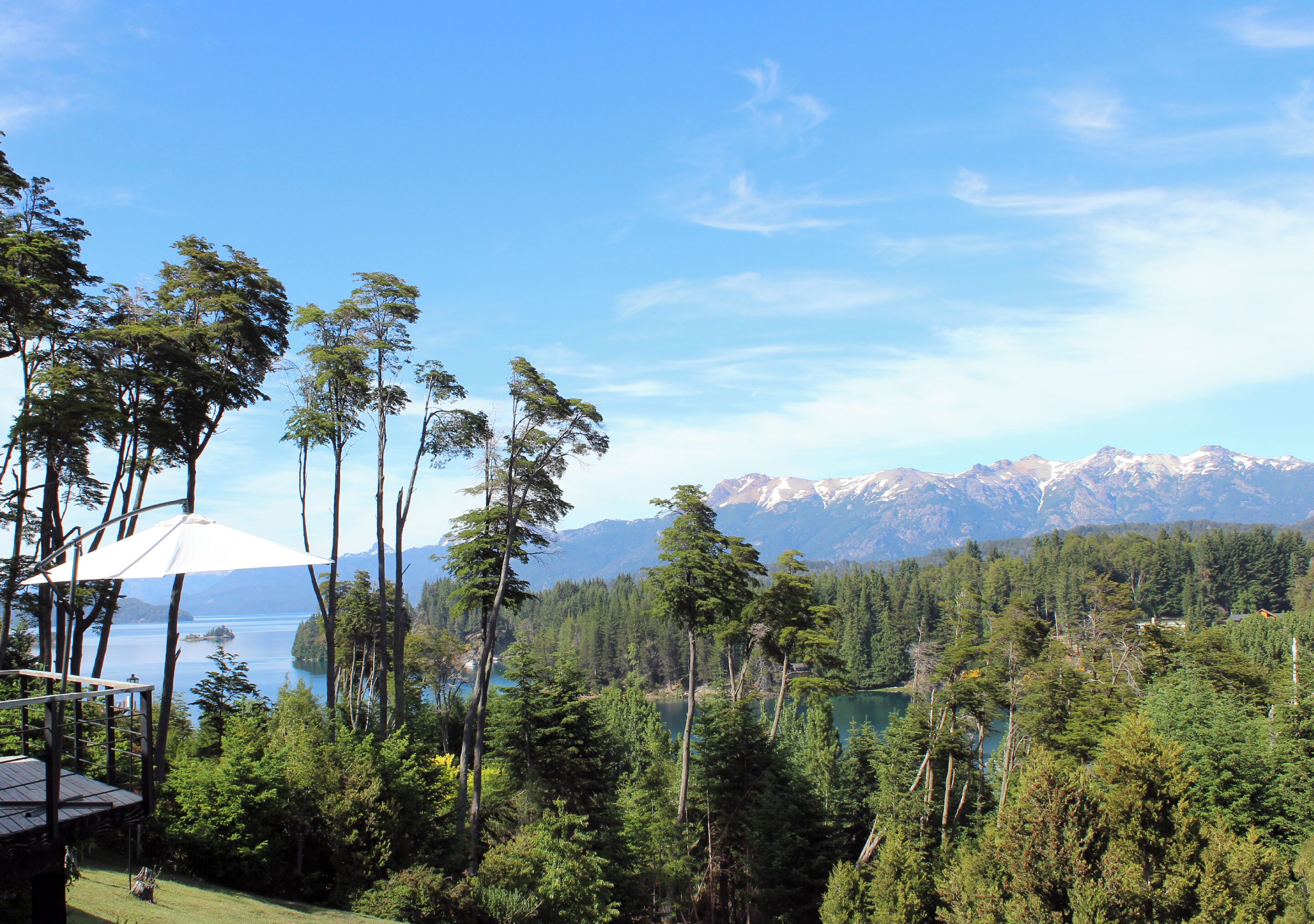 A forested area with a lake and mountains in the background.