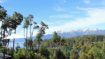 A forested area with a lake and mountains in the background.
