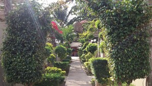 A pathway flanked by lush greenery and trees, leading to a building with a thatched roof. - Liv Inn Guest House (Maputo)