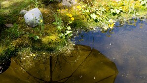 Ein Garten mit Teich, Stühlen und einem Tisch mit gestreiftem Tischtuch.