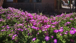 Terrace/patio - Lodge y Cabañas Rio Yaye (San Pedro de Atacama)