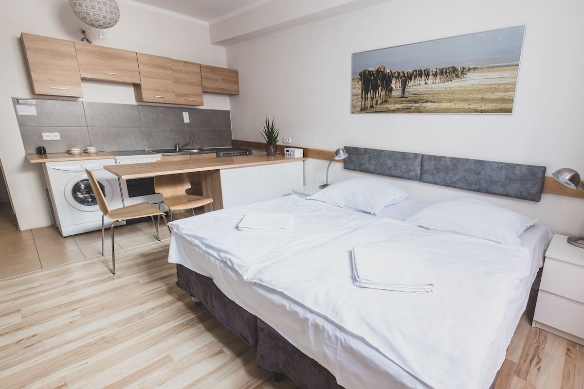 Apartment, 1 Bedroom (Danakil) | Desk, soundproofing, iron/ironing board, free WiFi