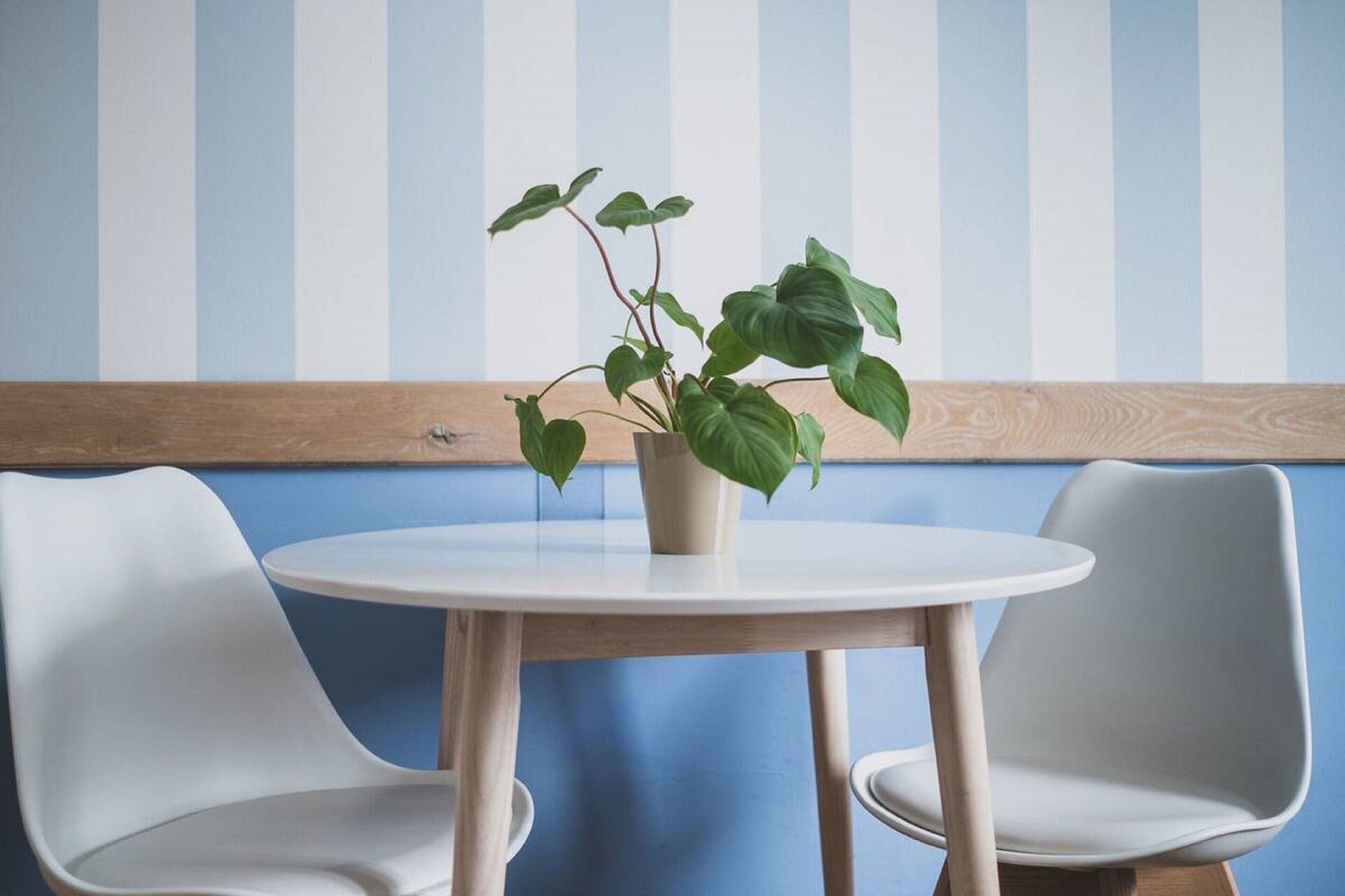 A round table with a potted plant in the center, flanked by two white chairs.