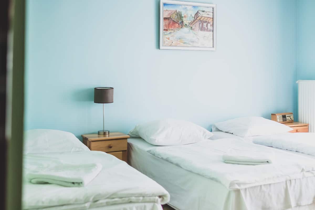 Apartment, 2 Bedrooms | Desk, soundproofing, iron/ironing board, free WiFi