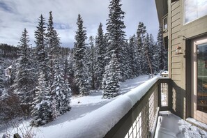 Ein mit Schnee bedeckter Balkon mit Blick auf einen dichten Wald aus hochwachsenden Nadelbäumen.