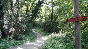 A narrow, winding dirt path surrounded by dense greenery and trees. - Villa Kalin (Veliko Tarnovo)