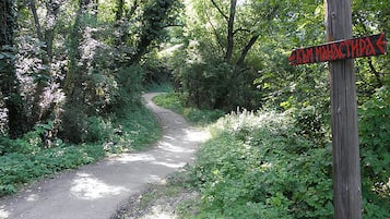 Vista de la muntanya