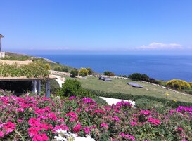 Vista desde la propiedad