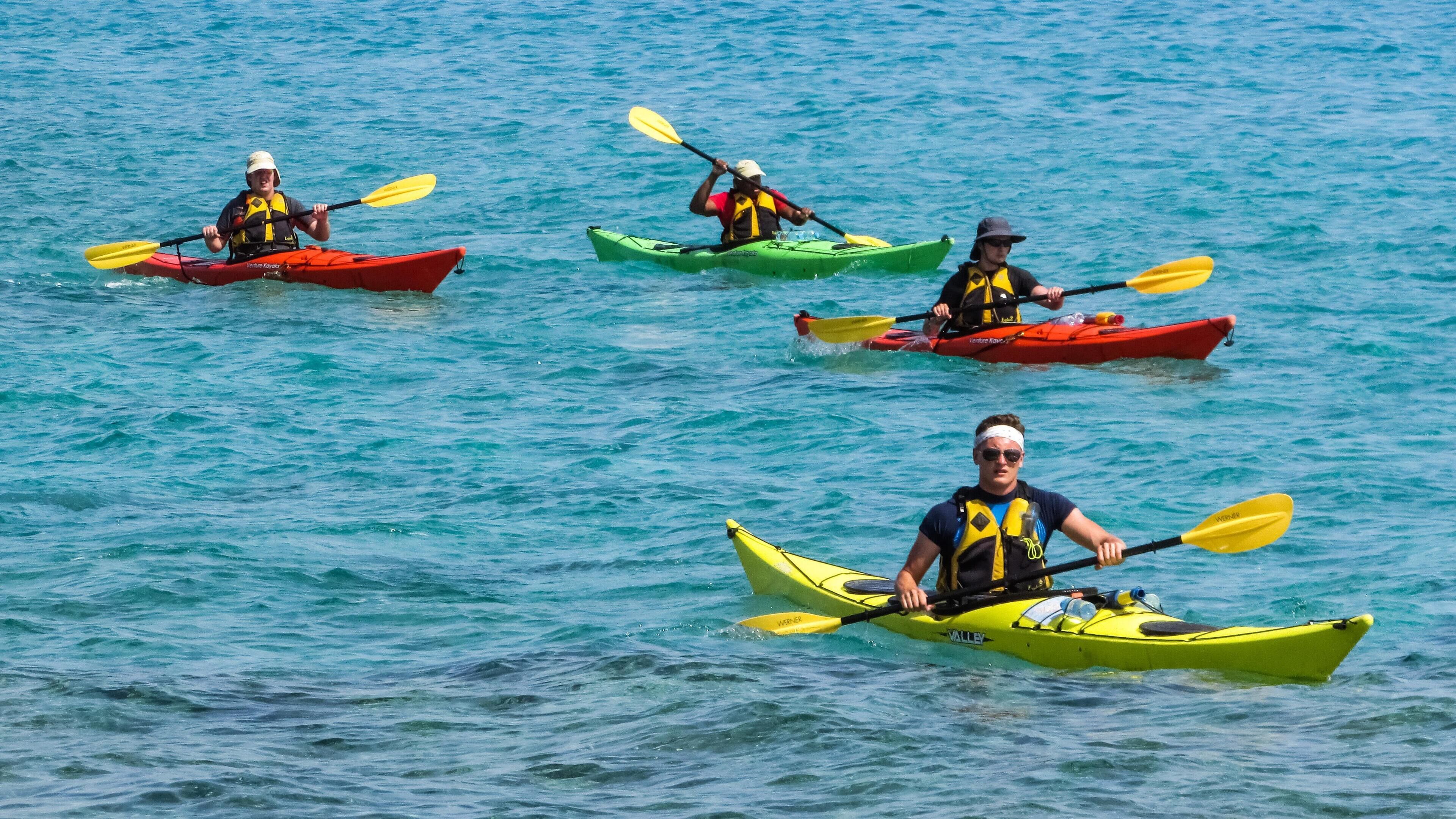 Cuatro kayakistas en kayaks de colores diversos sobre aguas tranquilas.