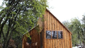 A wooden cabin with a deck and two chairs, surrounded by trees. - Lodge Palguin Alto (Pucón)