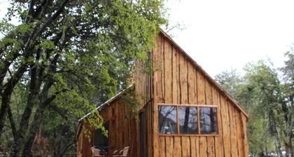 Lodge Palguin Alto