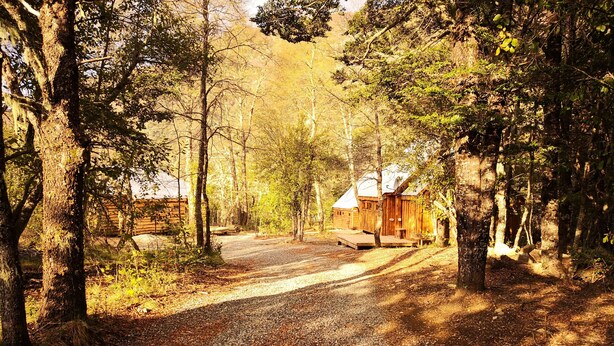 A gravel driveway leading to a rustic cabin surrounded by trees. - Lodge Palguin Alto (Pucón)