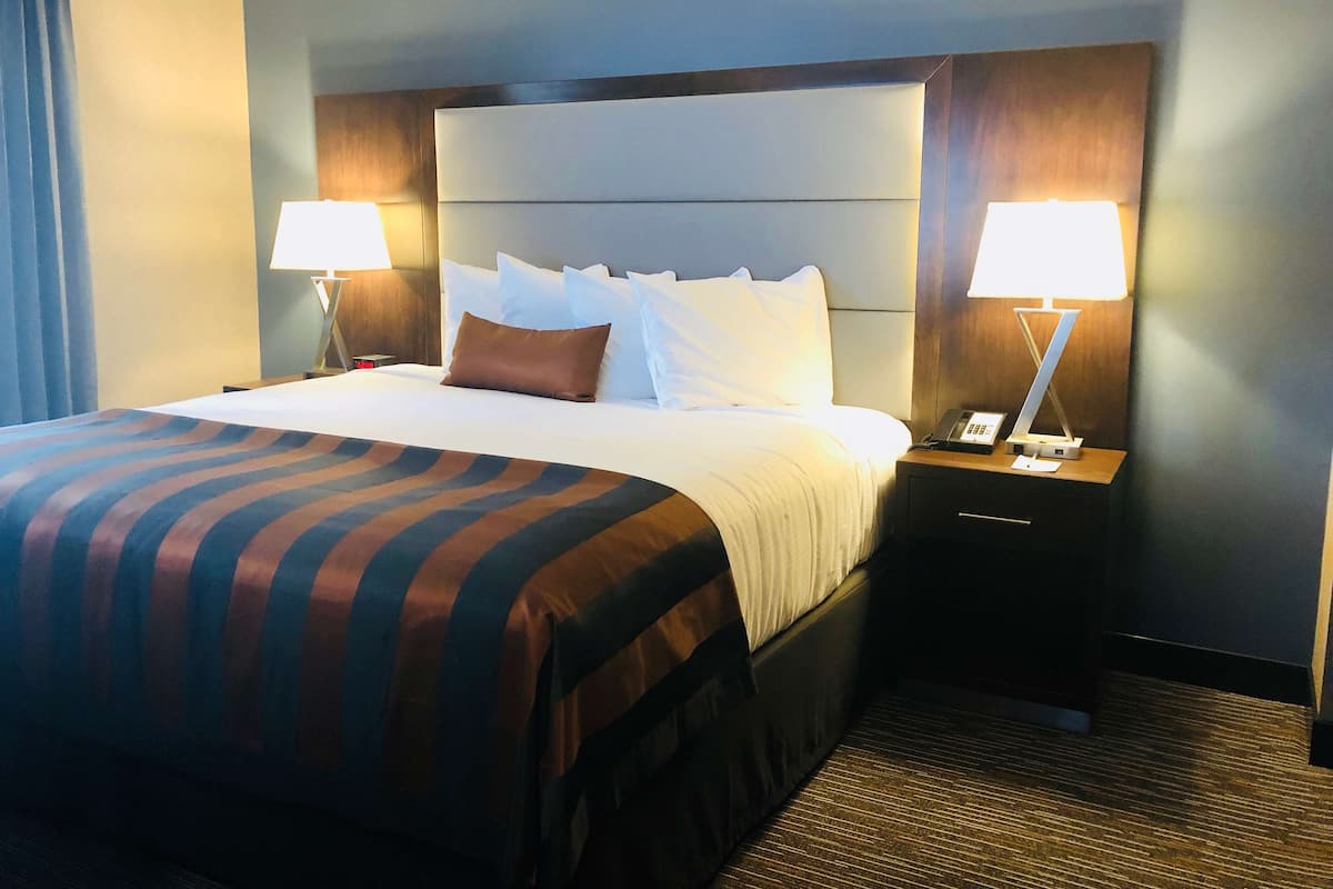 Una habitación de hotel con una cama grande, dos lámparas de noche, una mesita de noche y un cabecero de madera.
