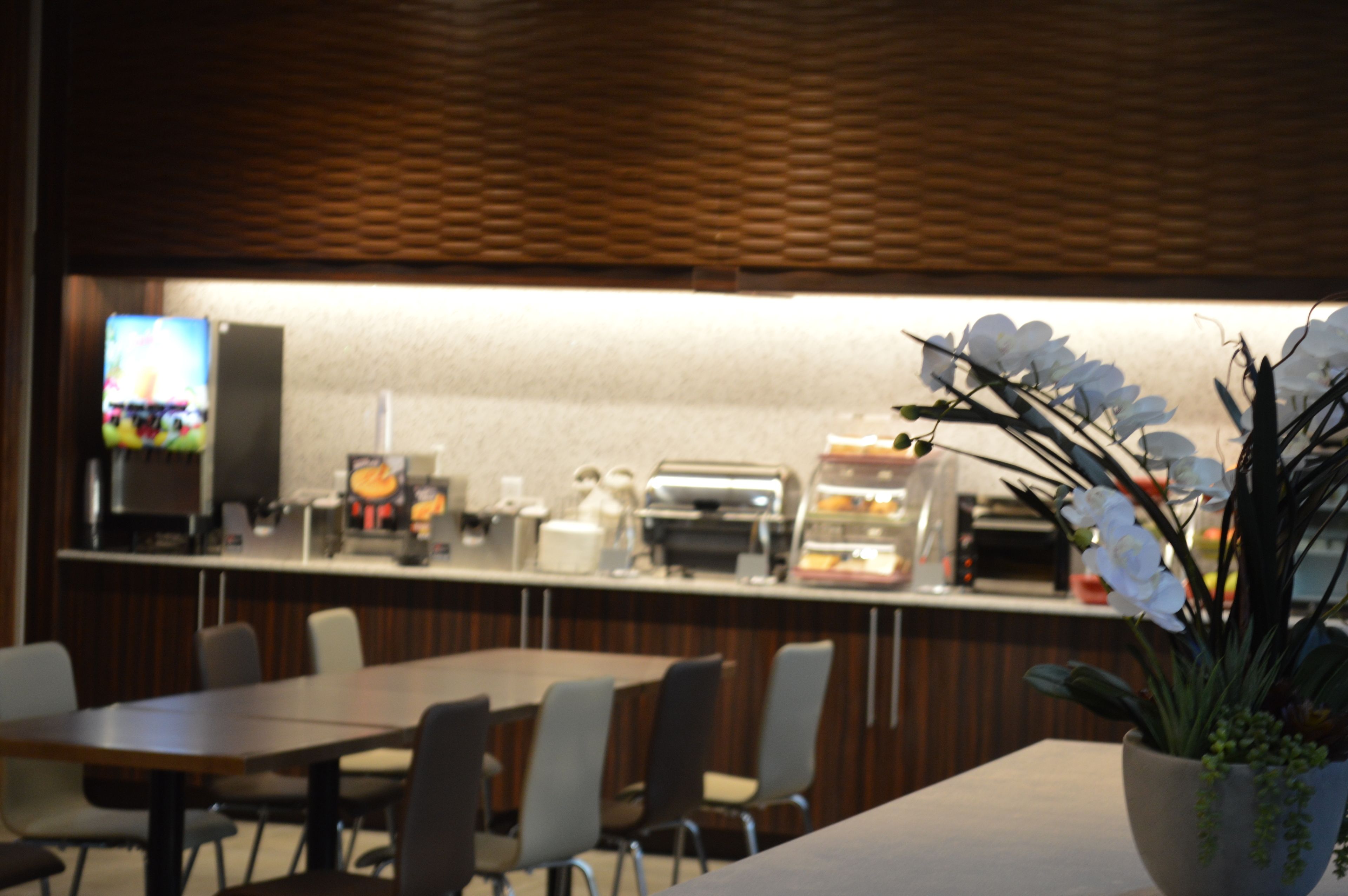 A restaurant with a counter, chairs, and a potted plant.