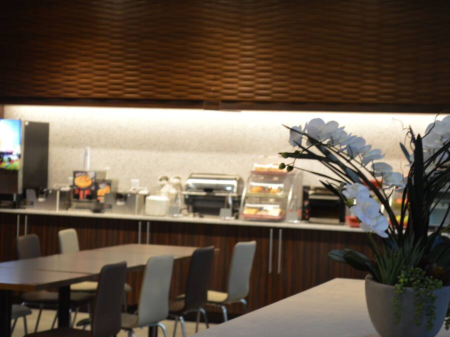 A restaurant with a counter, chairs, and a potted plant.