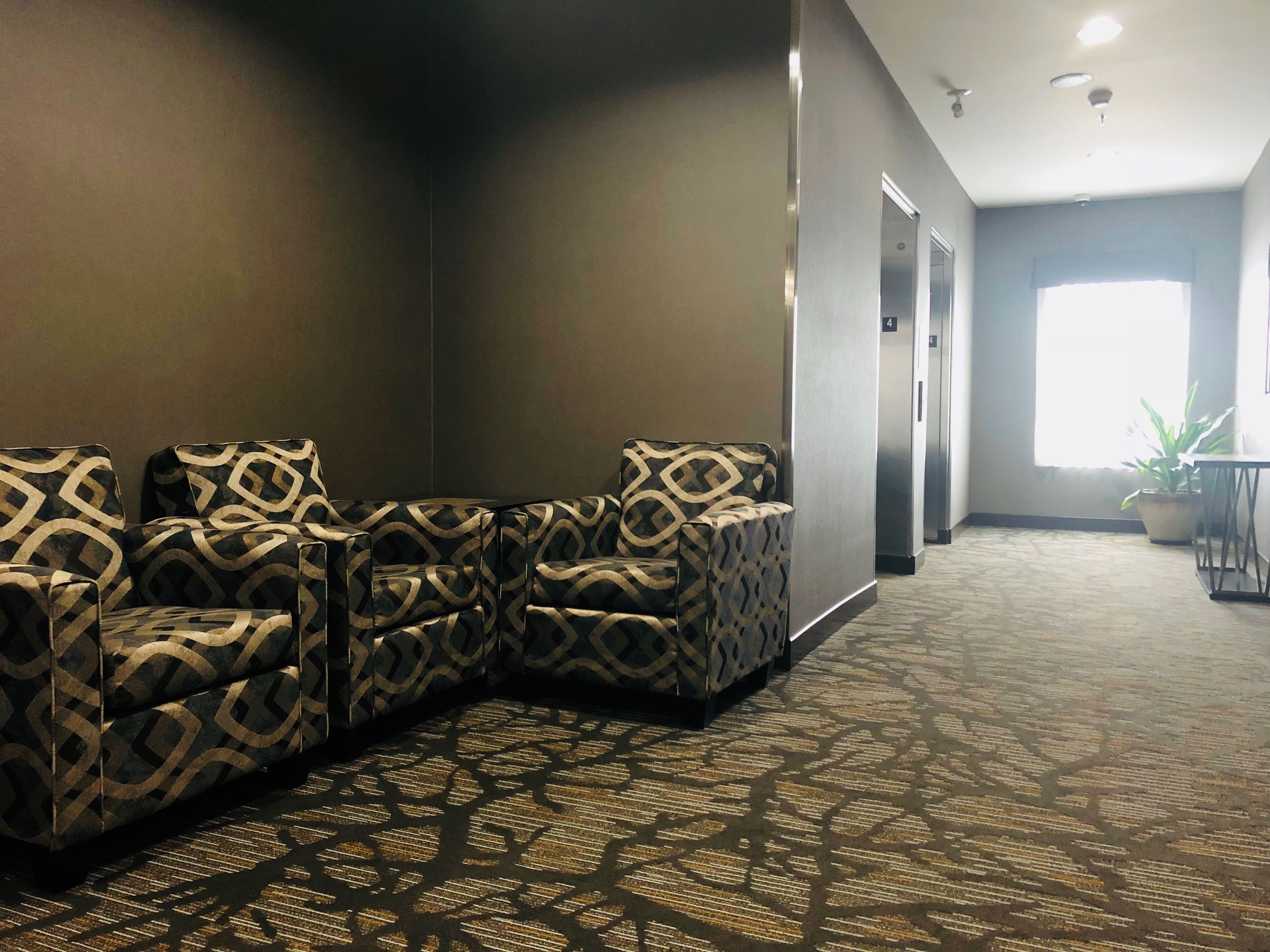 A waiting area with patterned armchairs, a carpeted floor, a potted plant, and a view of a hallway with doors.