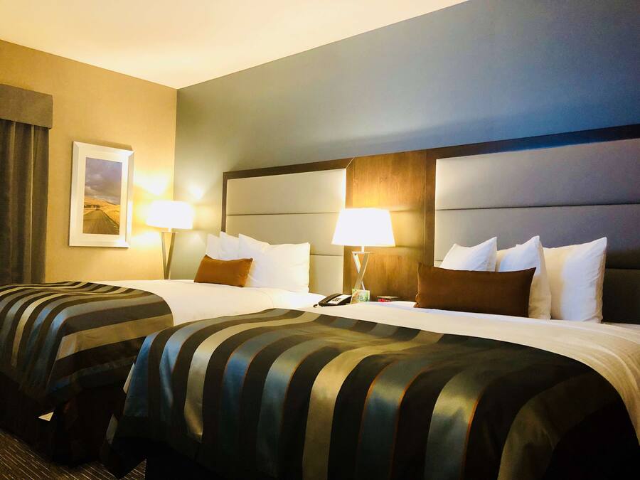 Quarto de hotel com duas camas, uma mesa de cabeceira, um abajur e um quadro na parede.