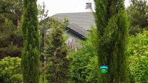 Una casa rodeada de abundante vegetación, con una chimenea visible y una farola.