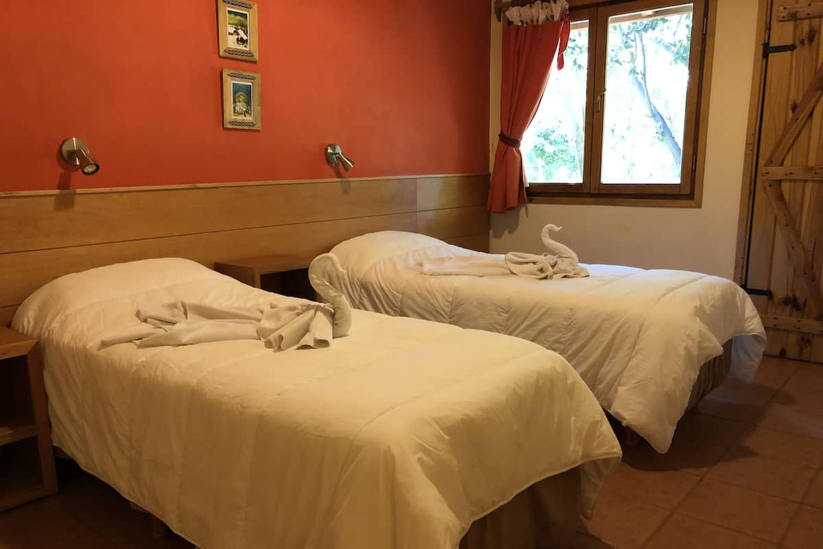 Two single beds with white linens and towels arranged in swan shapes, a wooden headboard, a window with a view of trees, and a red wall with two framed pictures.