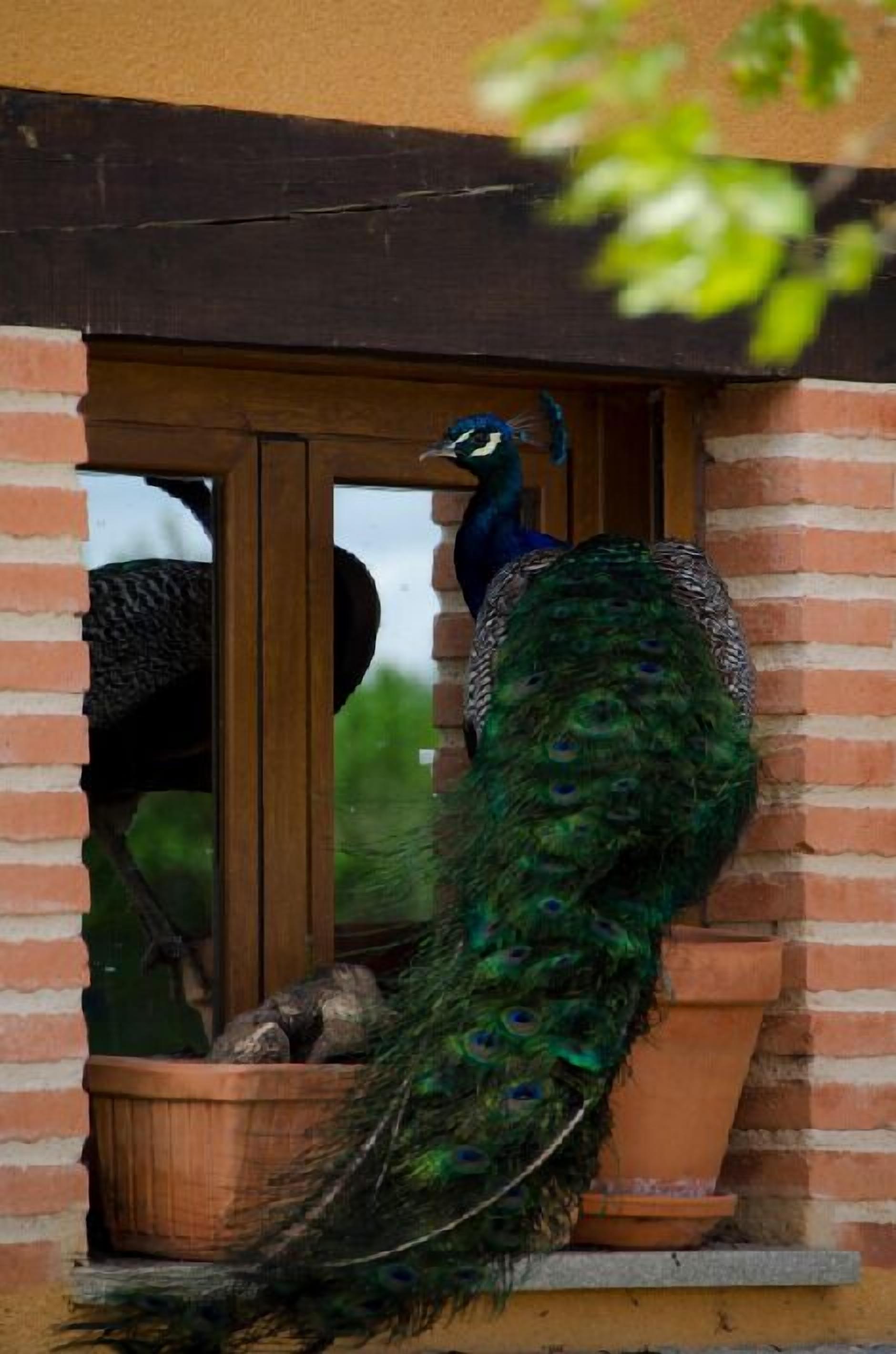 تفاصيل الفندق من الخارج