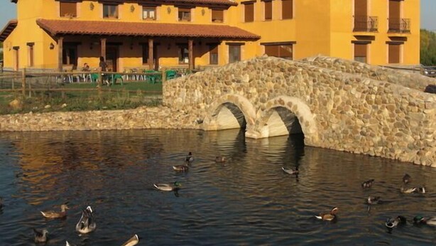 Un edificio amarillo con un puente de piedra sobre un estanque con patos.