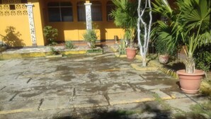 Un patio con plantas en macetas, un edificio amarillo y suelo de piedra.