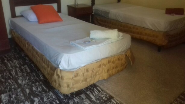 Una habitación con dos camas, una mesita de noche con un florero y una alfombra estampada.