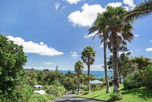 A scenic road leading to a coastal area with palm trees and lush greenery. - Villa Topaz at Palm Beach (Waiheke Island)