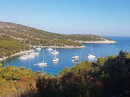 Servicio de la propiedad