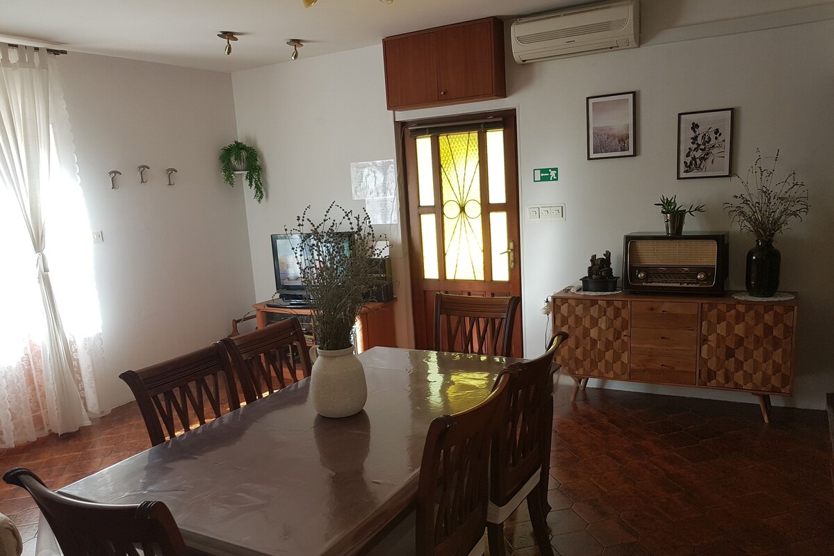 Un comedor con una mesa grande, sillas, una planta en maceta, un aparador de madera y un televisor.