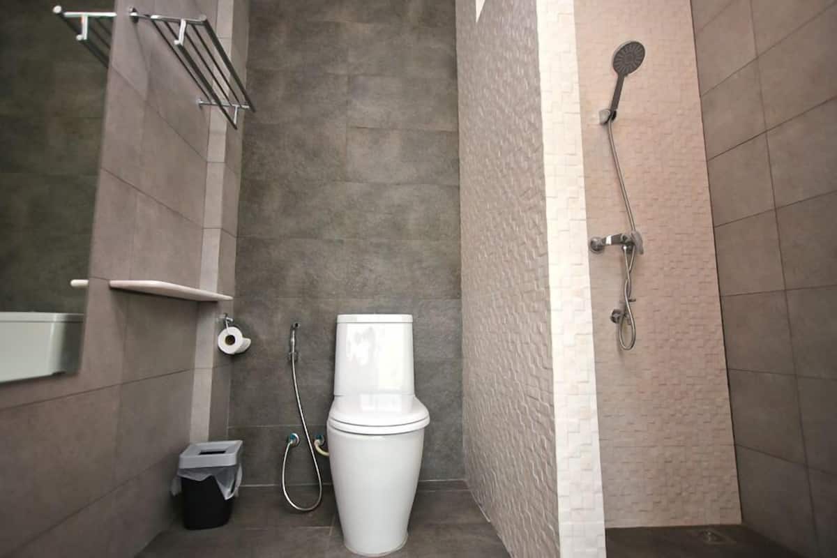 shower, free toiletries, hair dryer, slippers