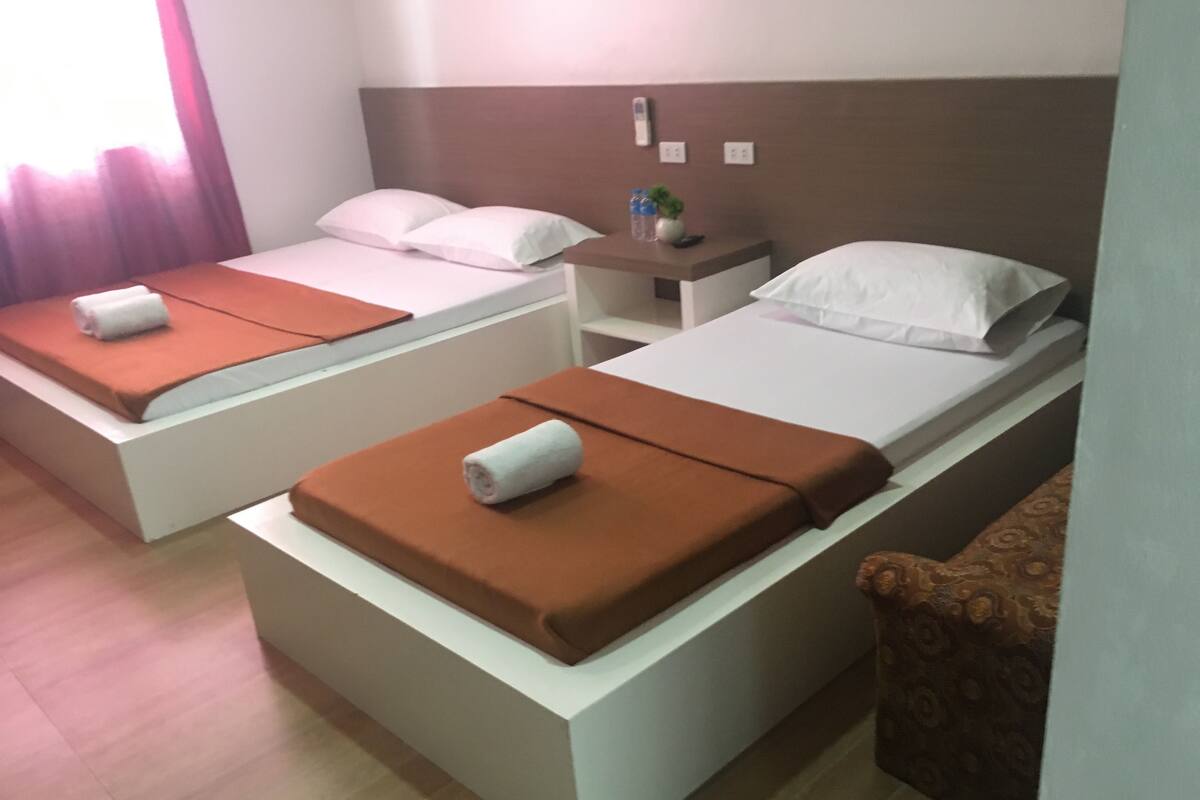 Two single beds with brown headboards, white bedding, and a small bedside table with a plant and bottles.