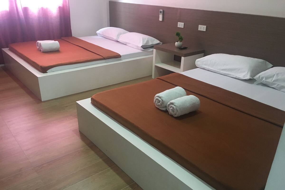 A hotel room with two beds, each with a brown mattress and white pillows. There is a nightstand with a plant and a phone between the beds.