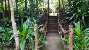 Un escalier en bois, entouré d’une végétation luxuriante.