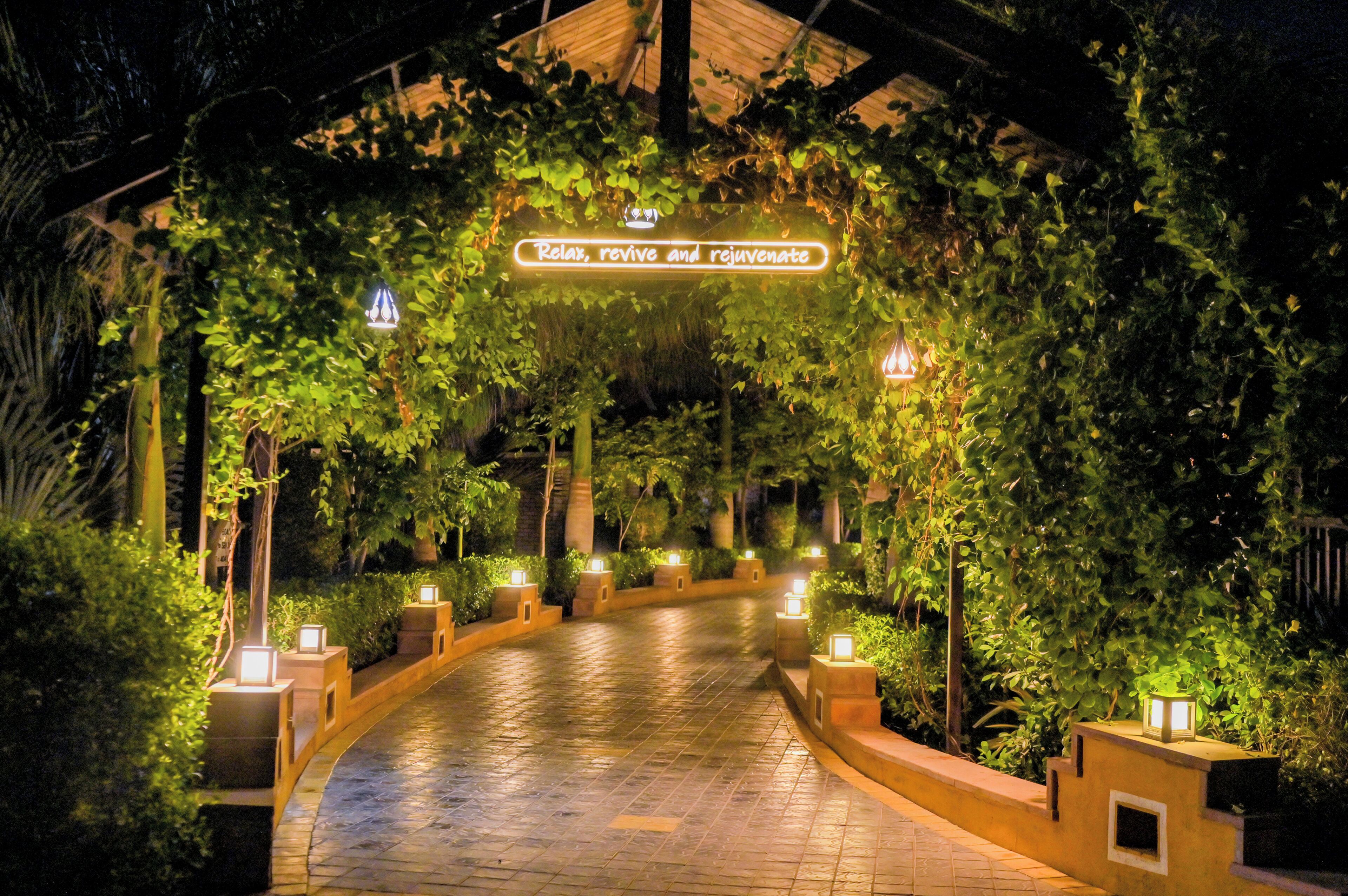 A pathway lined with plants and illuminated by lanterns, leading to a covered area with a sign that reads "Relax, revive and rejuvenate."