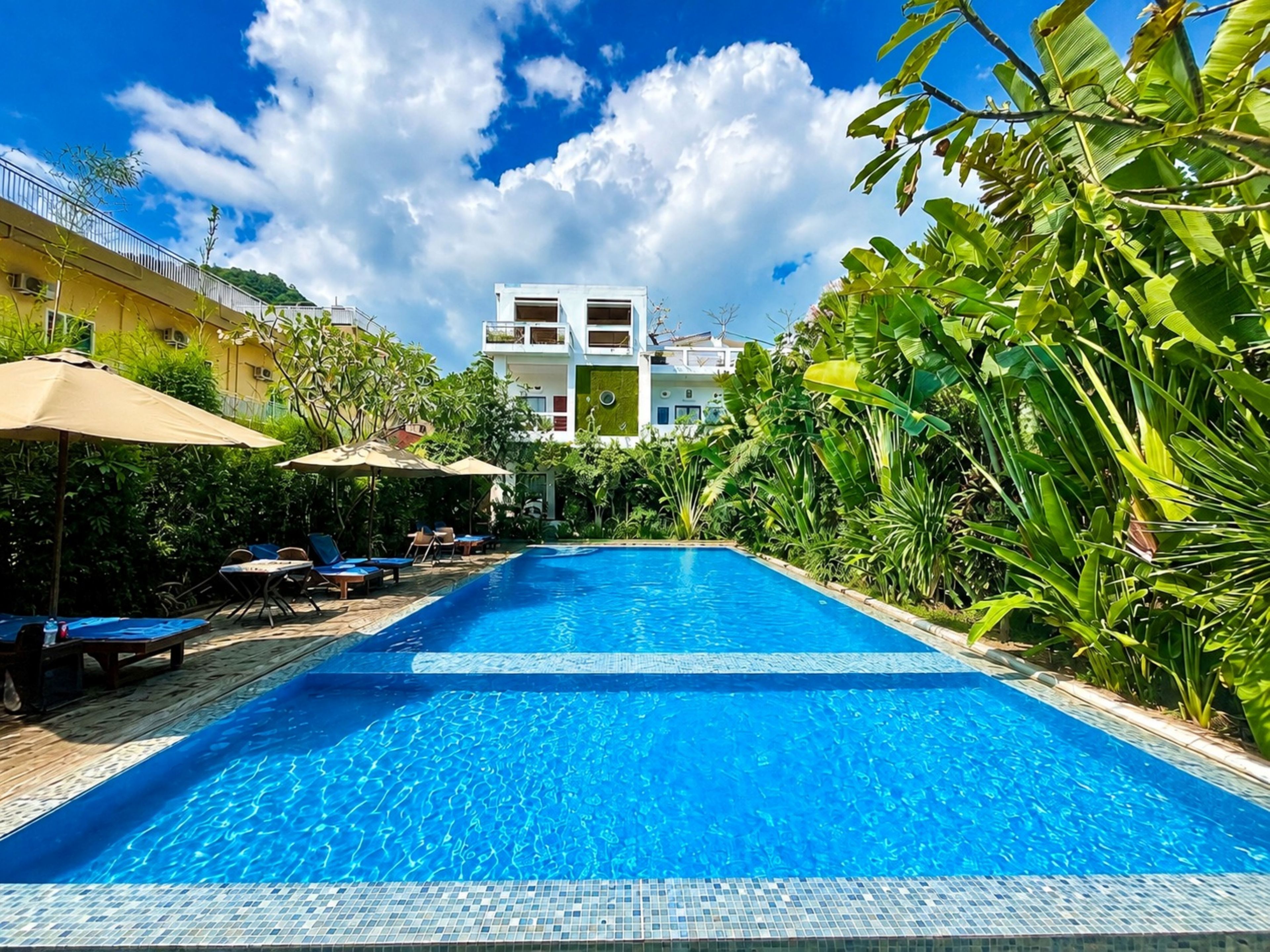 Outdoor pool, sun loungers