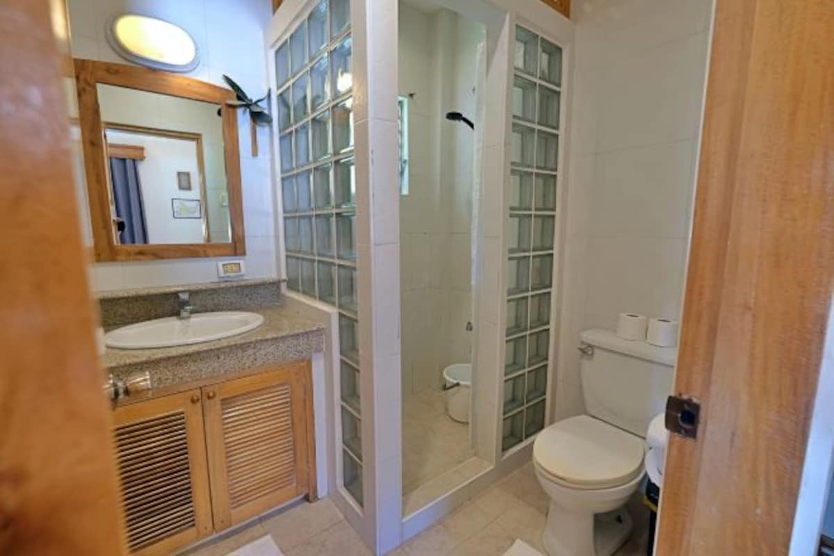 Un baño con ducha envuelta en vidrio, lavamanos e inodoro.