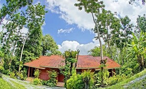 Une maison avec un toit recouvert de tuiles rouges, entourée d’une végétation luxuriante et d’arbres.