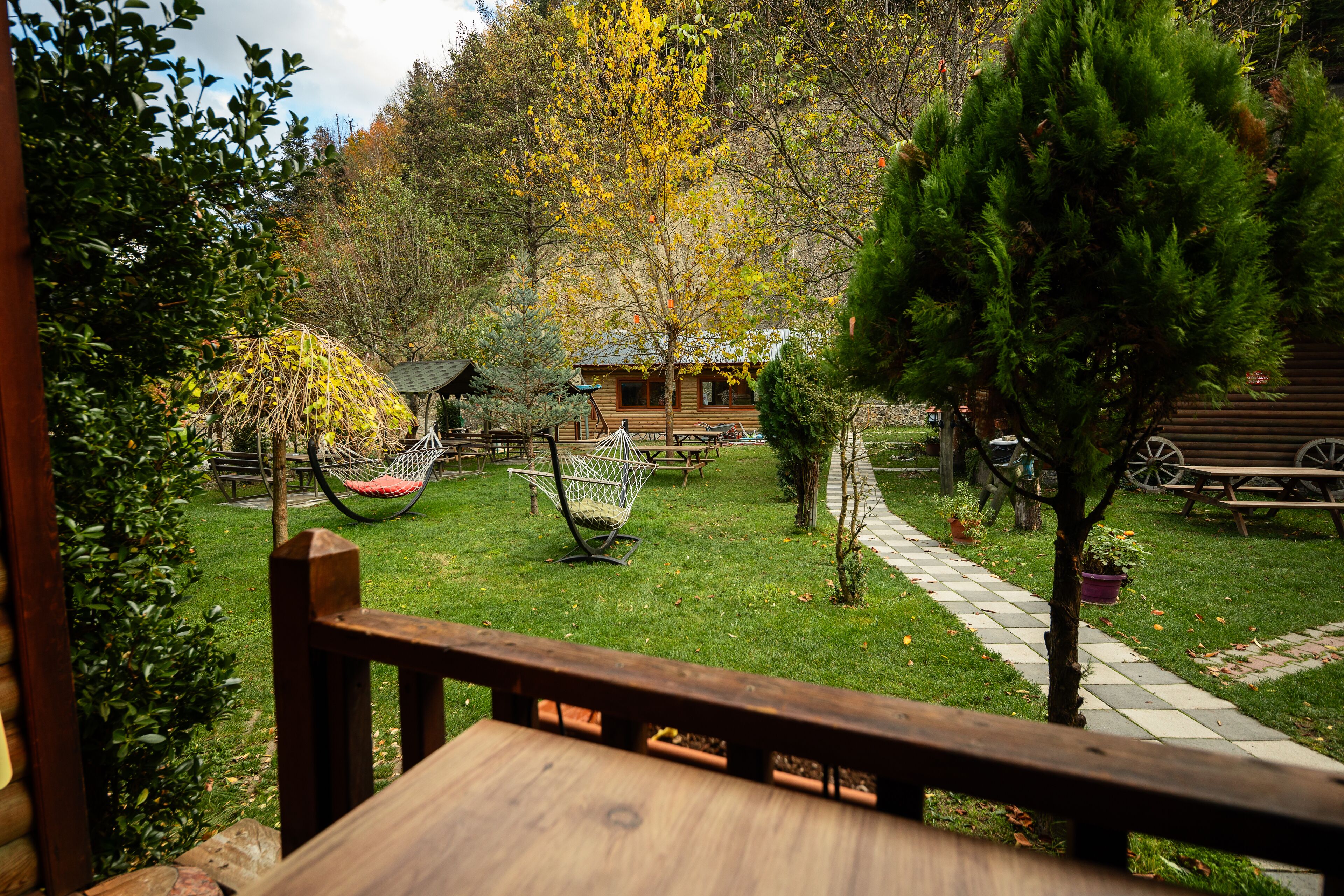 A wooden deck with a bench, a hammock, and a small tree.