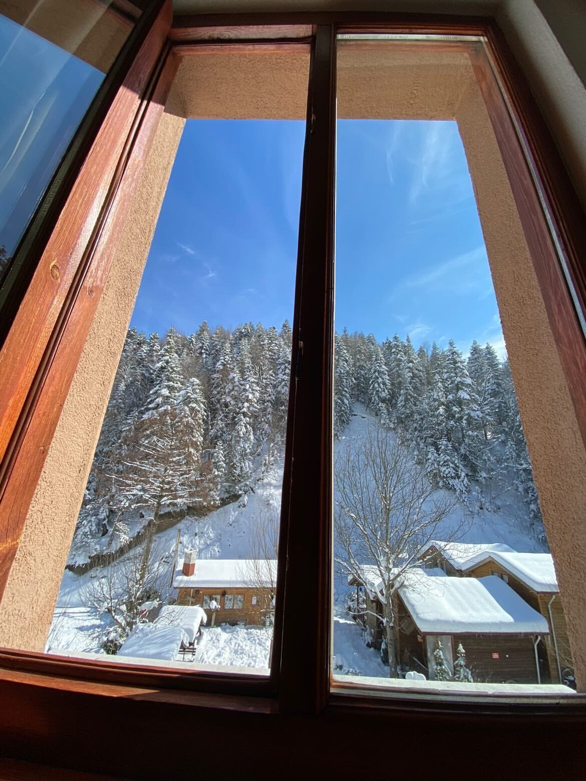 Family Suite, Annex Building | View from room