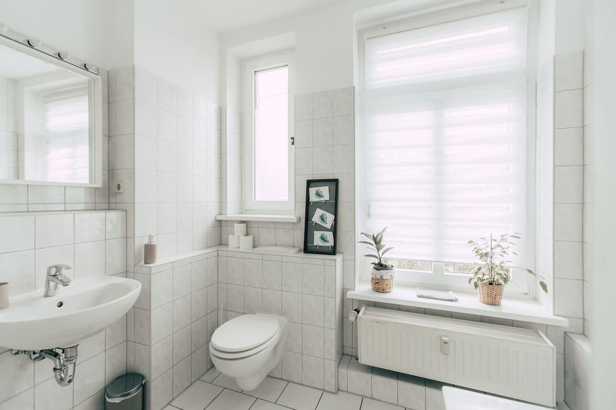 Botanical* 2-Room Apartment with Kitchen | Bathroom