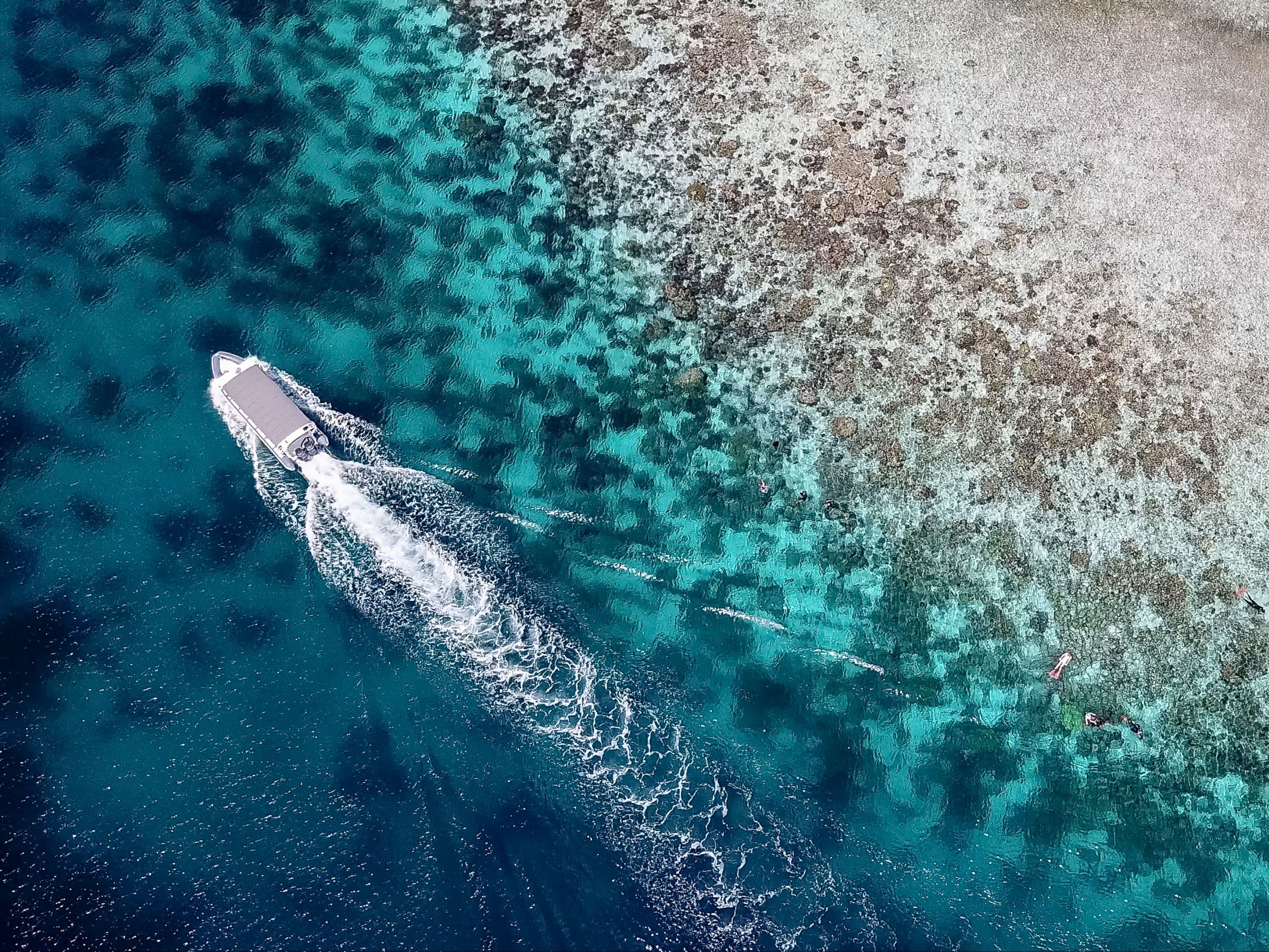 An aerial view of a coastal area with clear turquoise waters, a sandy beach, and a boat creating a wake.