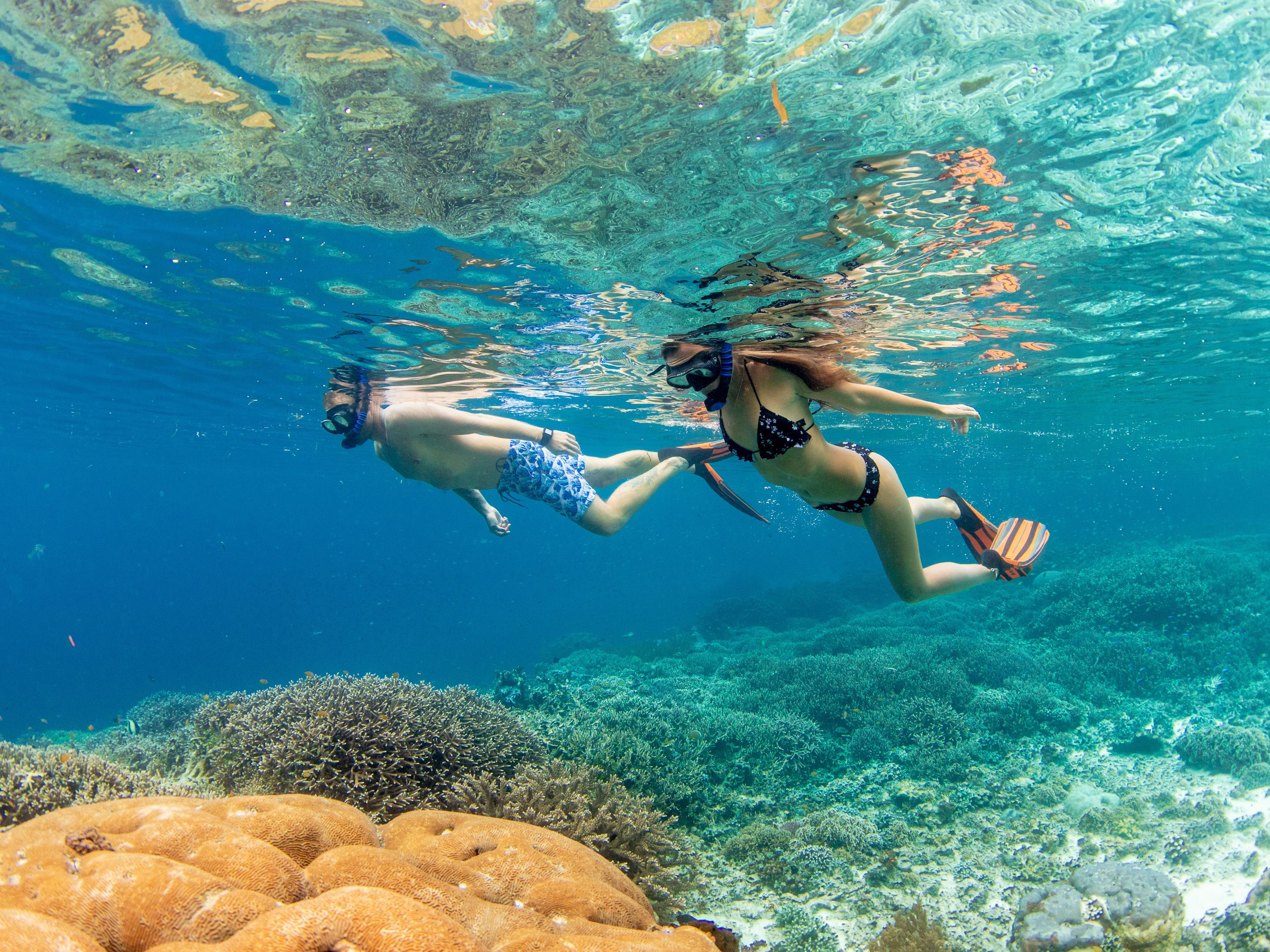 Two people snorkeling underwater with coral formations and clear blue water.