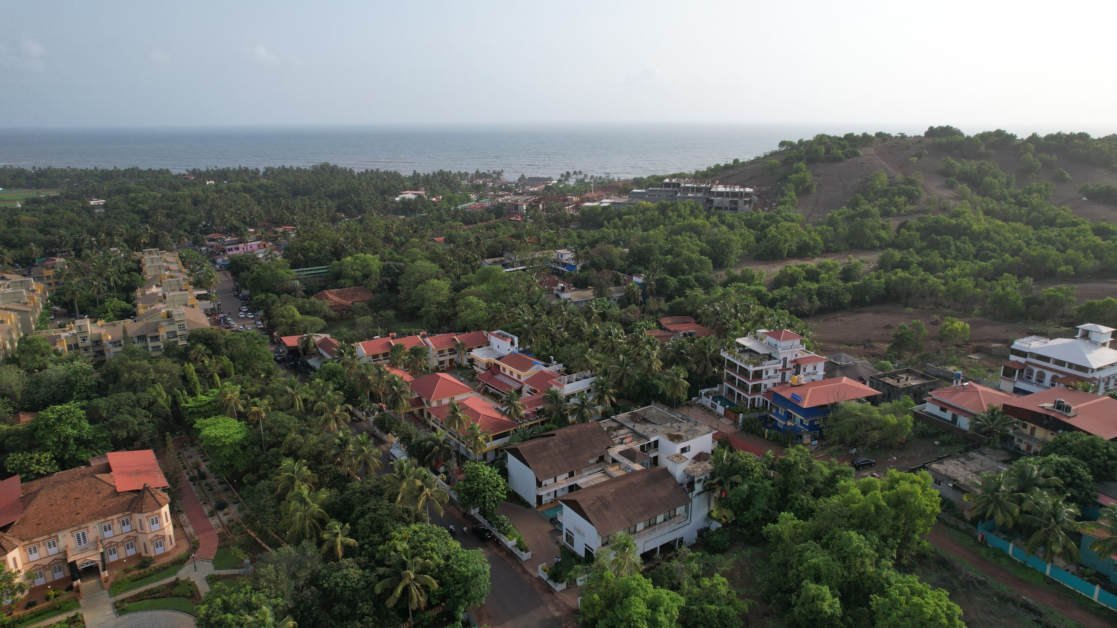 Foto - The Ivy Anjuna