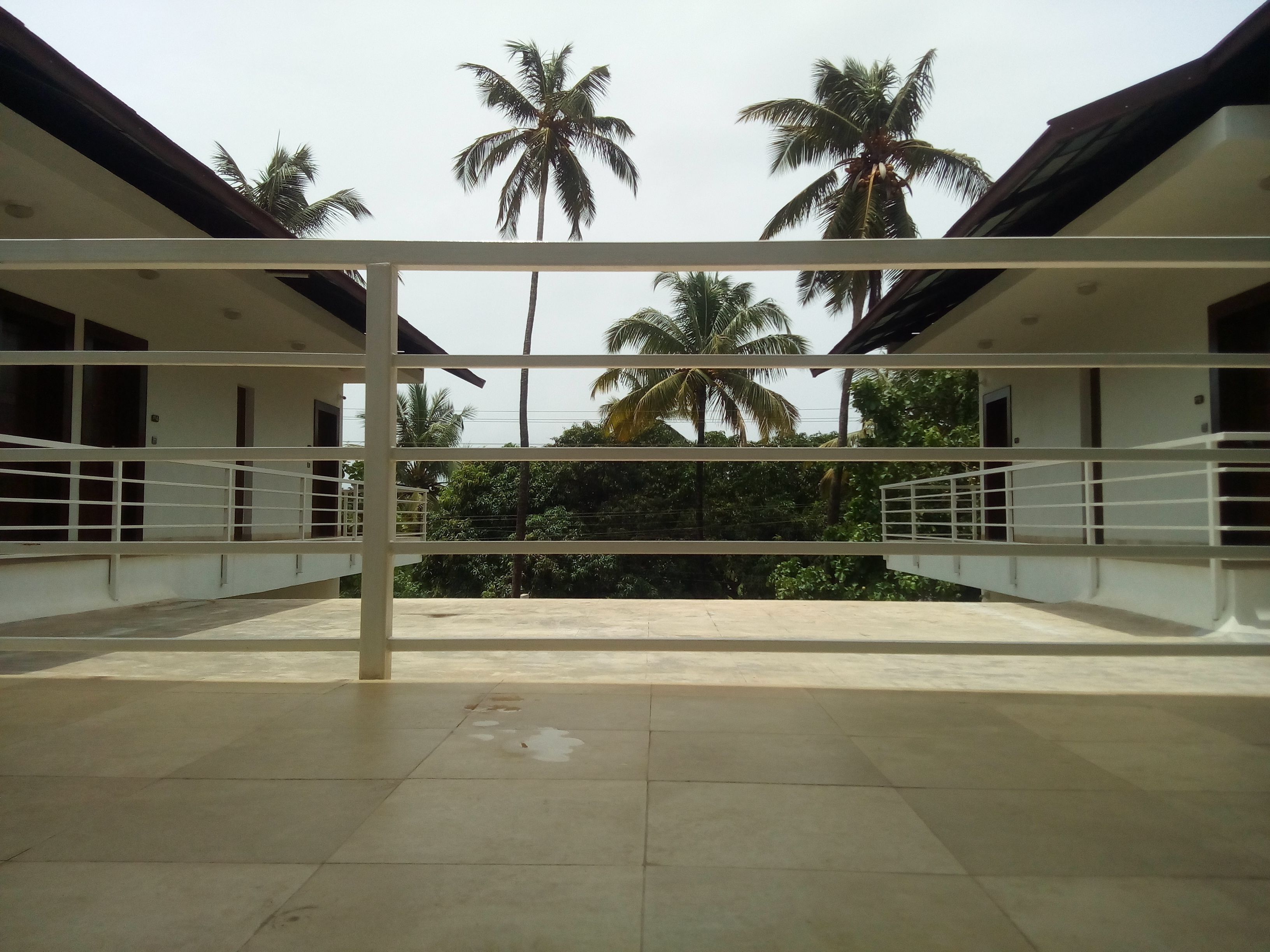 Photo - The Ivy Anjuna