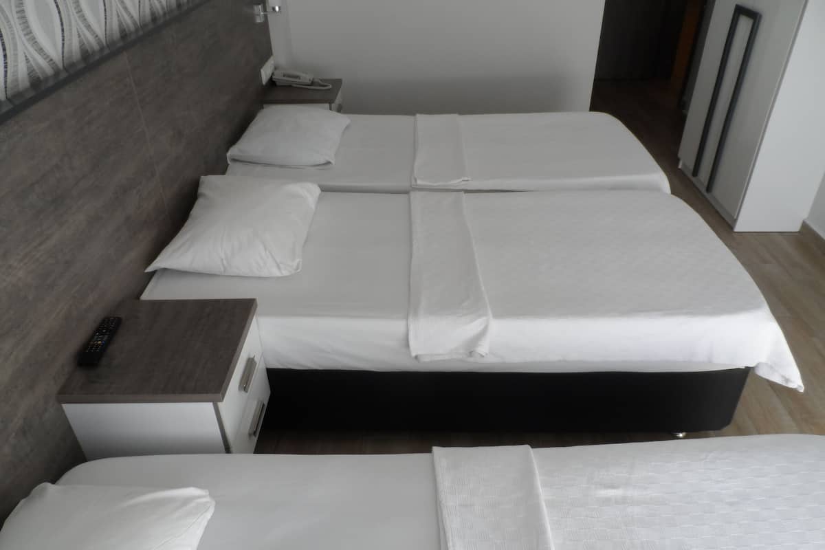Standard Triple Room | Iron/ironing board (on request), WiFi (free)