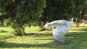 A sculpture in a grassy area with trees in the background. - Galeria In The Garden (Plovdiv)