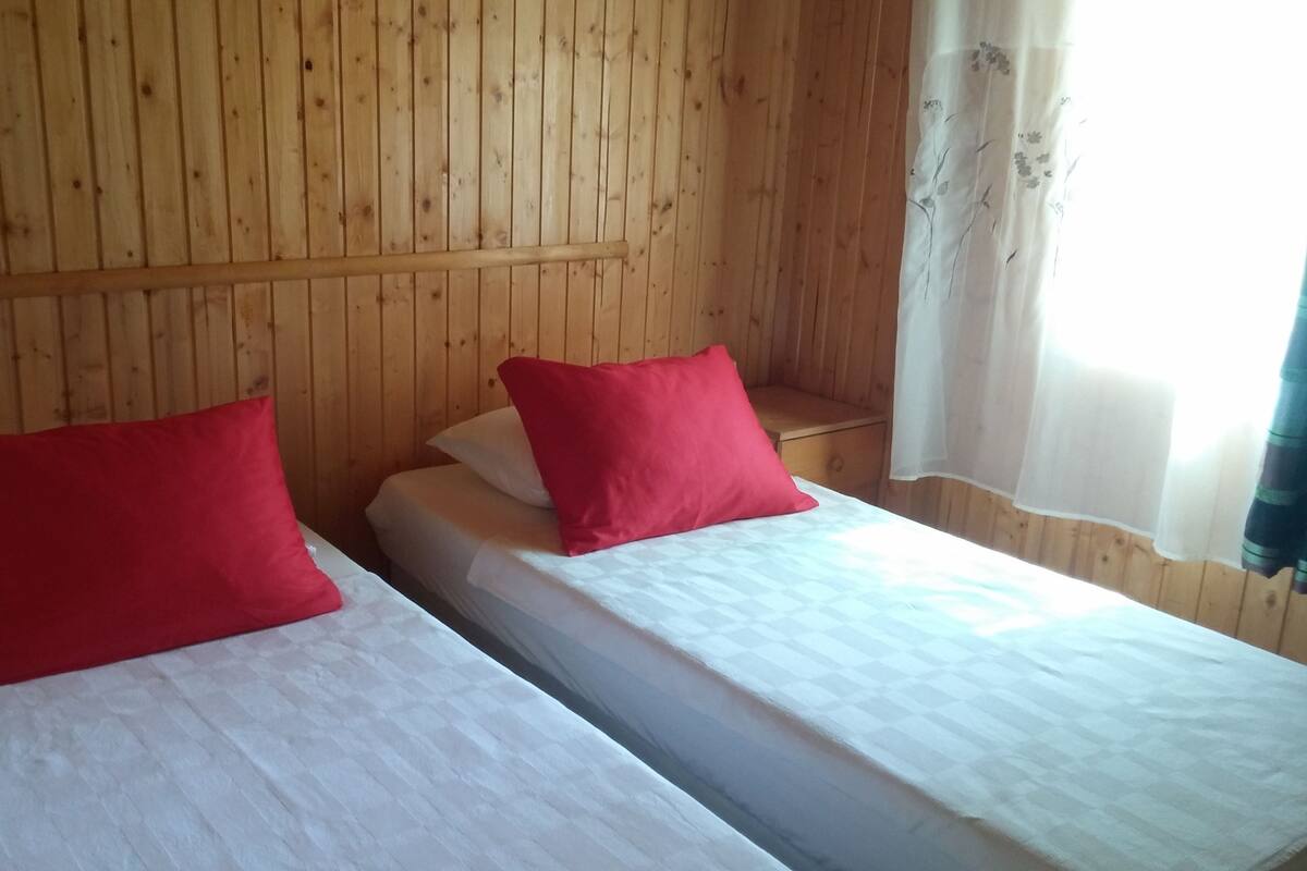 Two single beds with red pillows in a room with wooden panel walls.